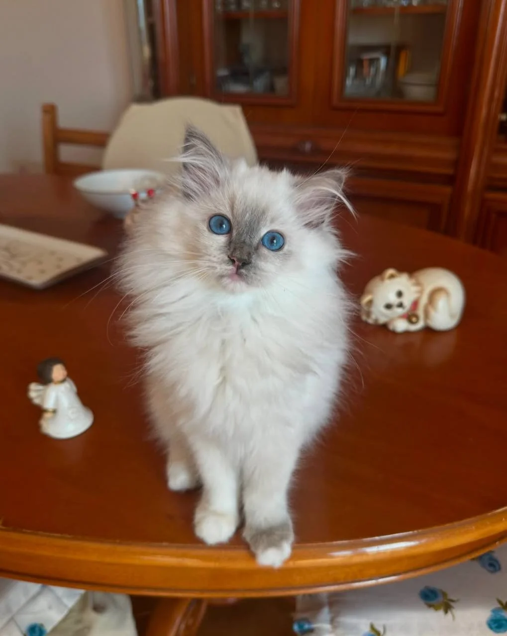 photo_2025-03-19_17-32-24